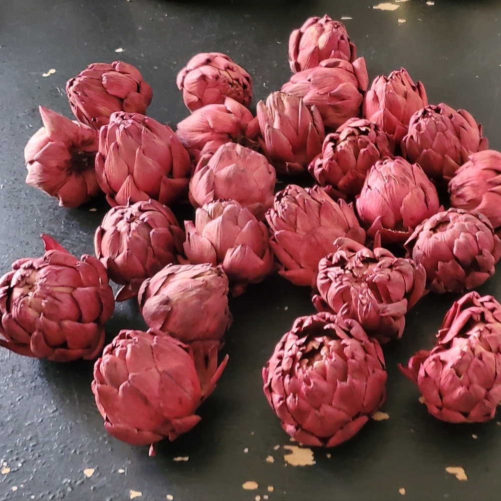 Decorative Dried & Dyed Artichokes LOT